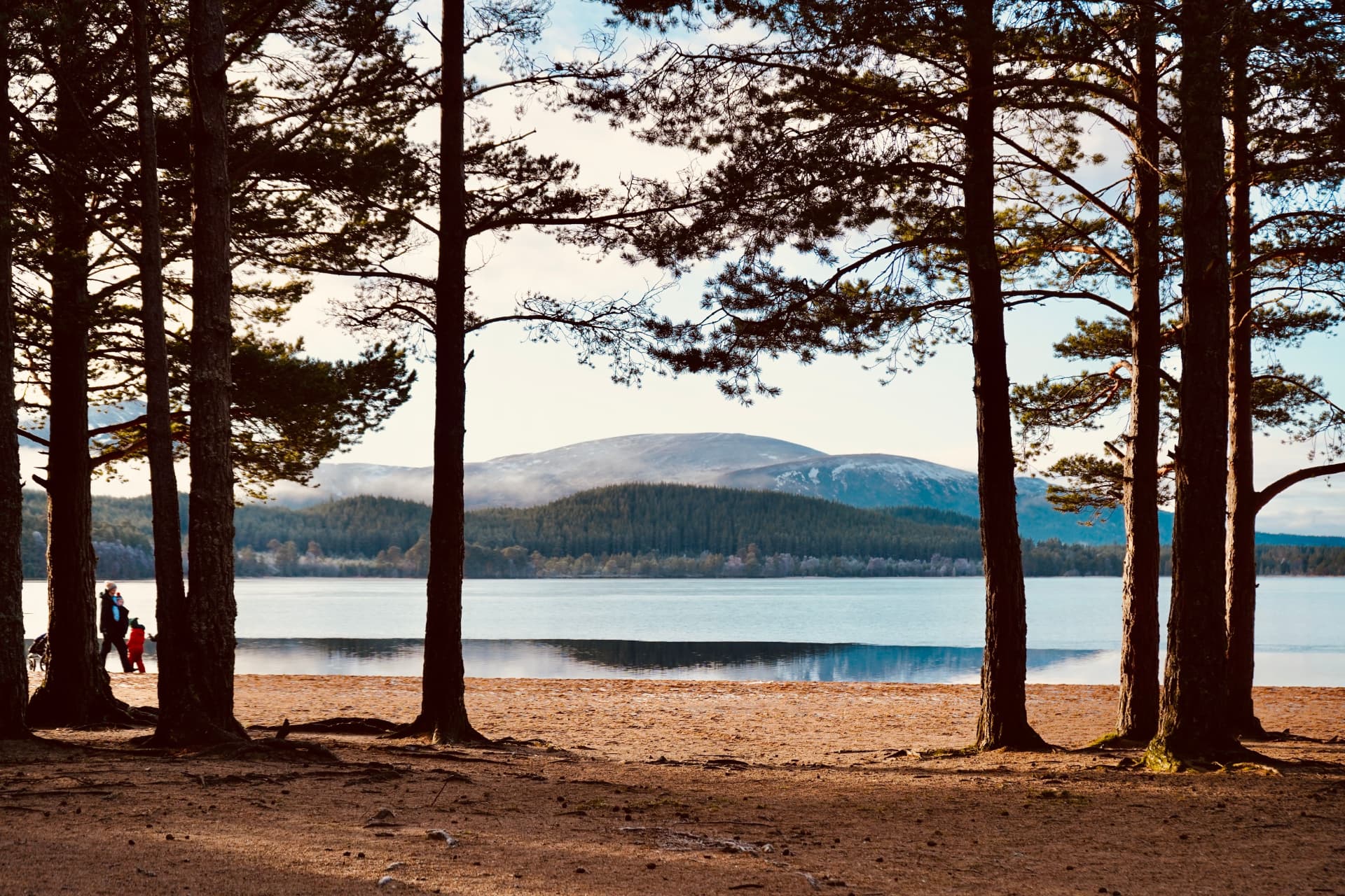 Pine-framed beach at Loch Morlich near Aviemore